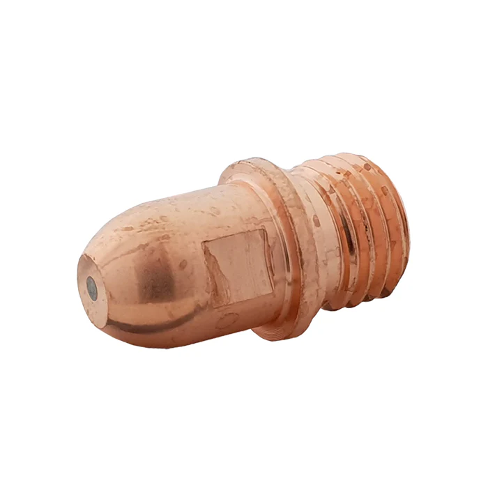Miniatuur 1
