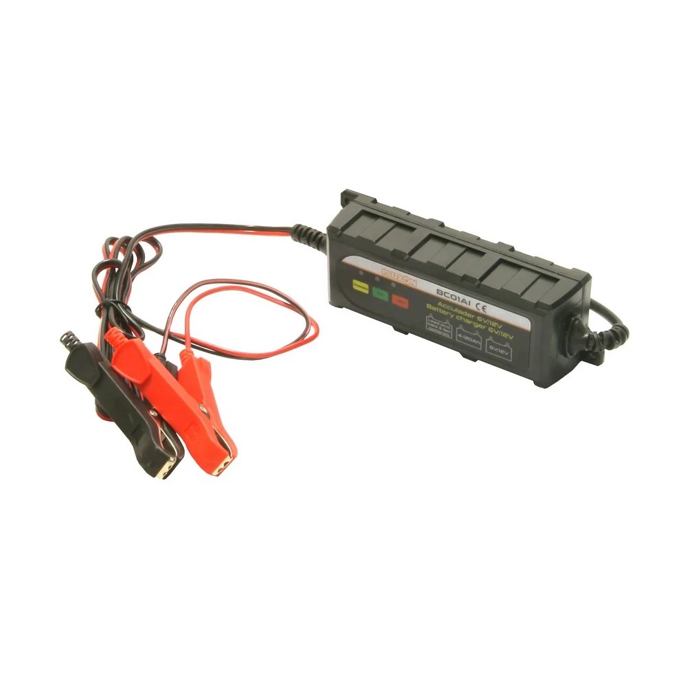 Miniatuur 1