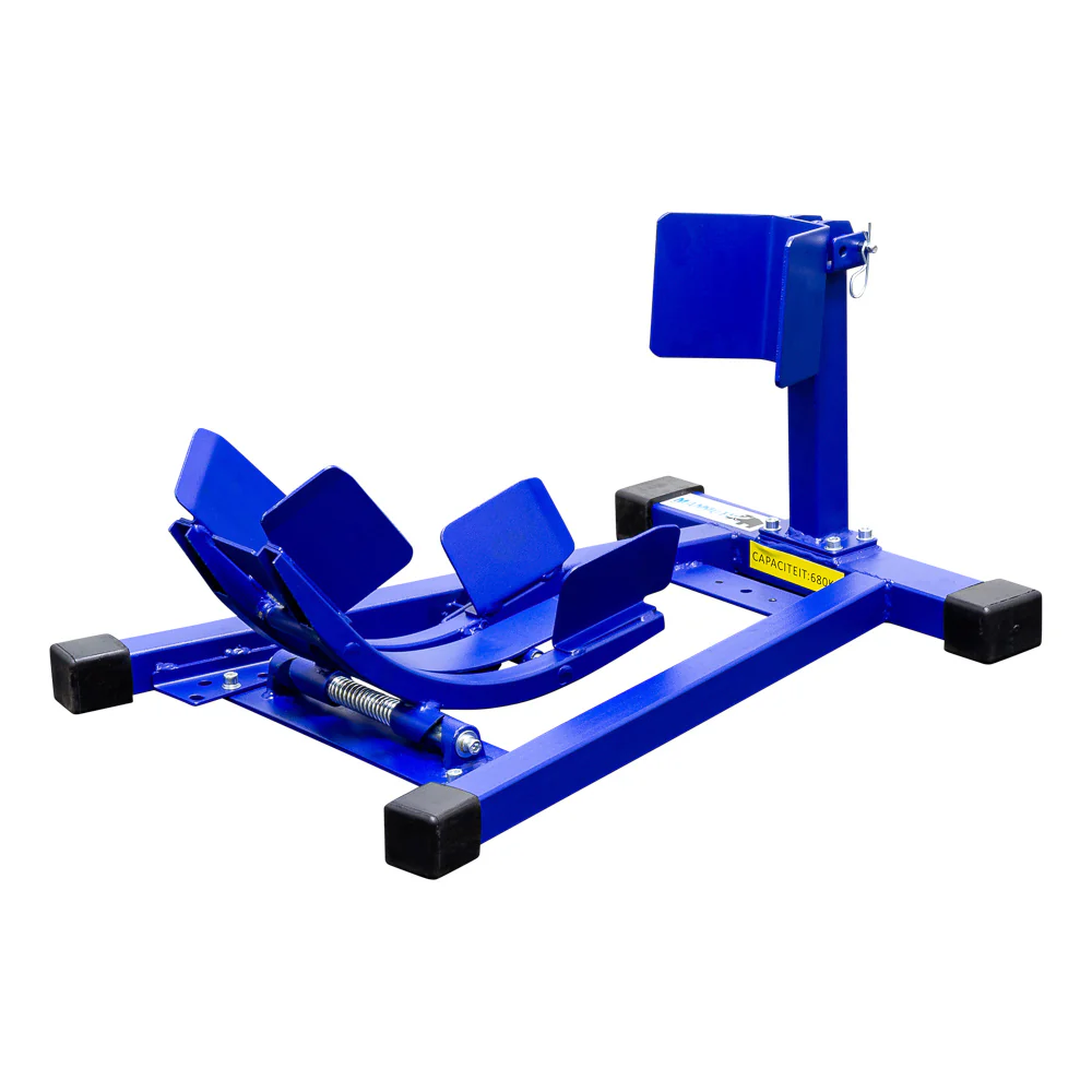Miniatuur 2