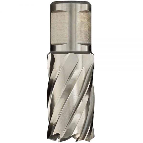 Miniatuur 19
