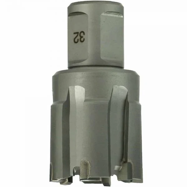Miniatuur 3