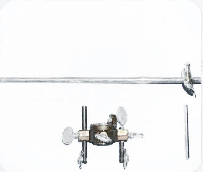 Miniatuur 1