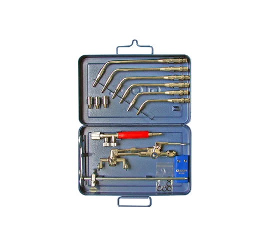 Miniatuur 1