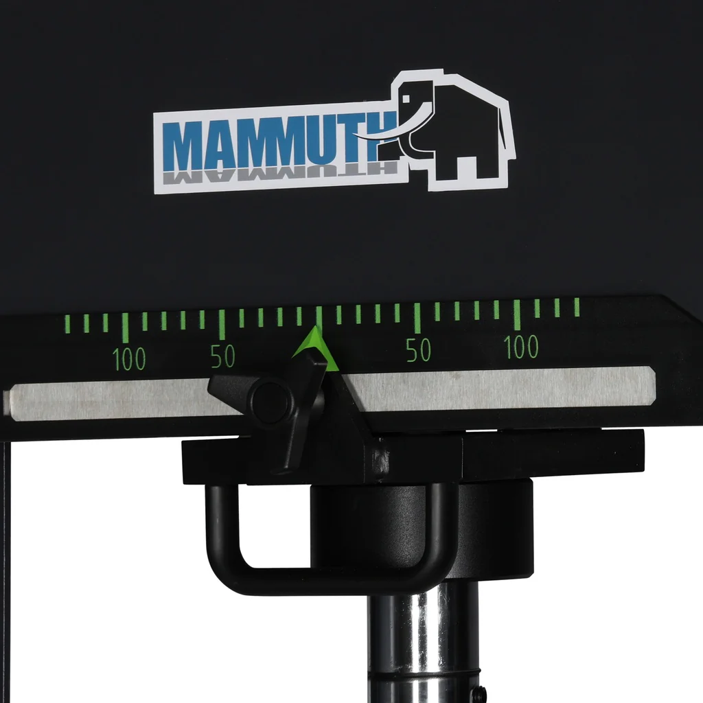 Miniatuur 7
