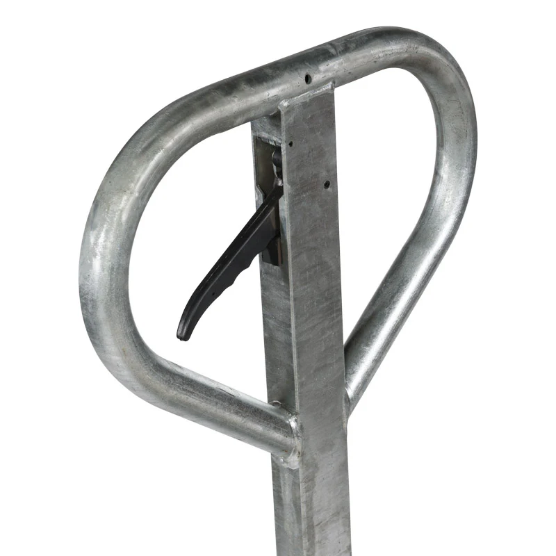 Miniatuur 6