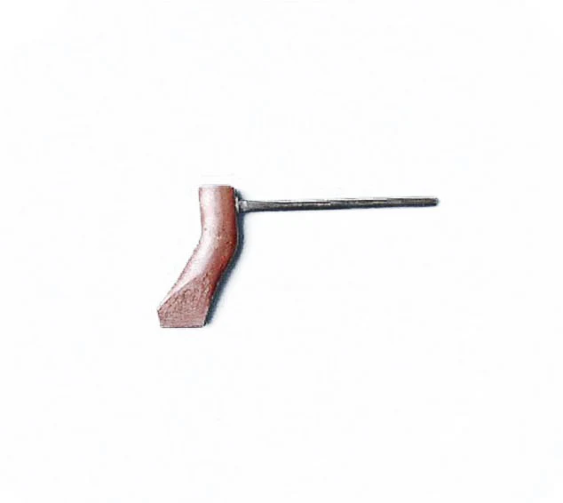 Miniatuur 1