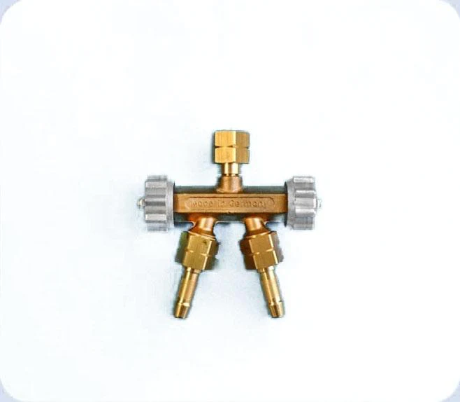 Miniatuur 2